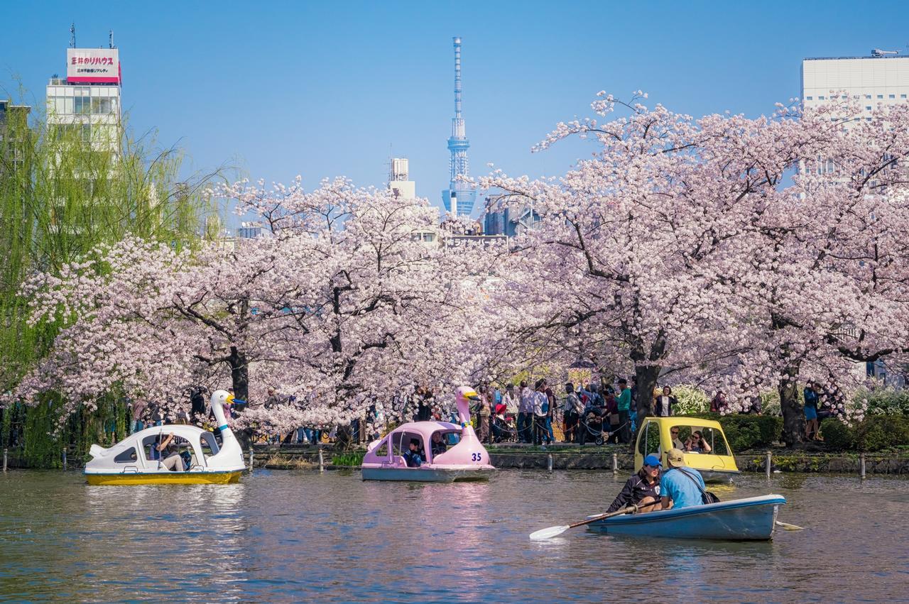 Sadou Hostel Tokyo Ueno Ngoại thất bức ảnh